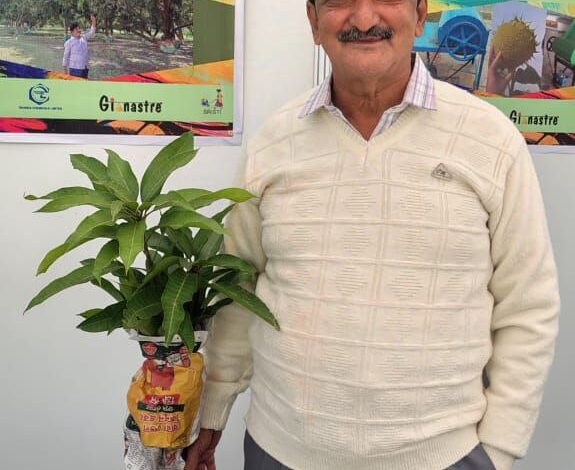 कटिहार के ‘मैंगो मैन’ कालीदास बनर्जी ने चितरंजन आम किया विकसित