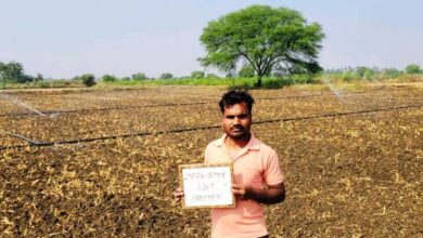 सब्जी उत्पादन के क्षेत्र में छत्तीसगढ़ अग्रसर