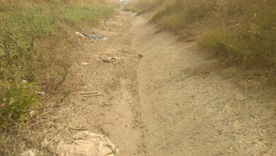 300 हेक्टेयर रकबा में कृषि कार्य के लिए किसानों को आने-जाने में हो रही परेशानी  किसानों ने की मुंडा कोलिहा के बीच पुल निर्माण की मांग