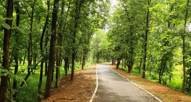 विशेष लेख:पीएमजीएसवाई से बदला विकास का भूगोल एमसीबी जिले में