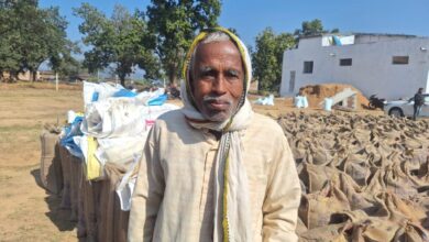 प्रदेश में धान खरीदी का महाअभियान तेजी के साथ जारी