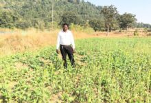 प्रधानमंत्री धन-धान्य कृषि योजना ने बदली किसानों की किस्मत