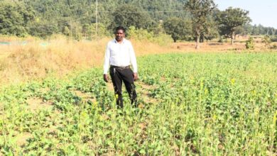 प्रधानमंत्री धन-धान्य कृषि योजना ने बदली किसानों की किस्मत प्रधानमंत्री धन-धान्य कृषि योजना ने बदली किसानों की किस्मत