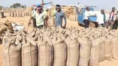 अब तक 17.24 लाख टोकन से 87 लाख टन धान की हो चुकी खरीदी