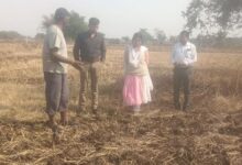 बैंकिंग से खेतों तक: जल संकट में फसल विविधीकरण की नई राह दिखा रहे विवेक धर दीवान बैंकिंग से खेतों तक: जल संकट में फसल विविधीकरण की नई राह दिखा रहे विवेक धर दीवान