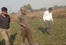 धान से हटकर समृद्धि की राह: जेवरा के किसान दिलीप सिन्हा ने दलहन-तिलहन से कमाए 25 लाख रुपये धान से हटकर समृद्धि की राह: जेवरा के किसान दिलीप सिन्हा ने दलहन-तिलहन से कमाए 25 लाख रुपये