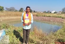 डबरी बनी आजीविका की स्थायी साधन,आर्थिक सशक्तिकरण को मिला मजबूत आधार