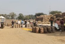 प्राथमिक कृषि साख सहकारी समिति अर्जुनी में धान खरीदी सुचारू रूप से जारी, किसानों ने की लिमिट बढ़ाने की मांग