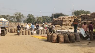 प्राथमिक कृषि साख सहकारी समिति अर्जुनी में धान खरीदी सुचारू रूप से जारी, किसानों ने की लिमिट बढ़ाने की मांग
