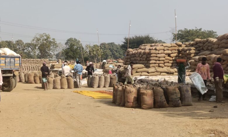 प्राथमिक कृषि साख सहकारी समिति अर्जुनी में धान खरीदी सुचारू रूप से जारी, किसानों ने की लिमिट बढ़ाने की मांग