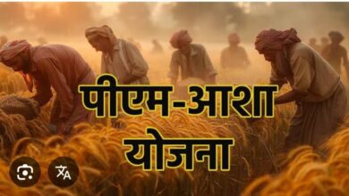 किसानों से दलहन-तिलहन उपार्जन की केन्द्र ने दी स्वीकृति