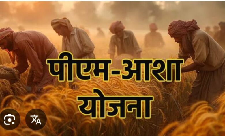 किसानों से दलहन-तिलहन उपार्जन की केन्द्र ने दी स्वीकृति किसानों से दलहन-तिलहन उपार्जन की केन्द्र ने दी स्वीकृति