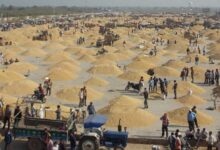 प्रदेश में अवैध भण्डारण, परिवहन एवं विक्रय करते हुए लगभग 1 लाख 52 हजार क्विंटल धान जब्त प्रदेश में अवैध भण्डारण, परिवहन एवं विक्रय करते हुए लगभग 1 लाख 52 हजार क्विंटल धान जब्त